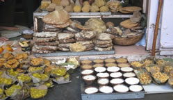 Hotel Shri Vithalesh, nathdwara